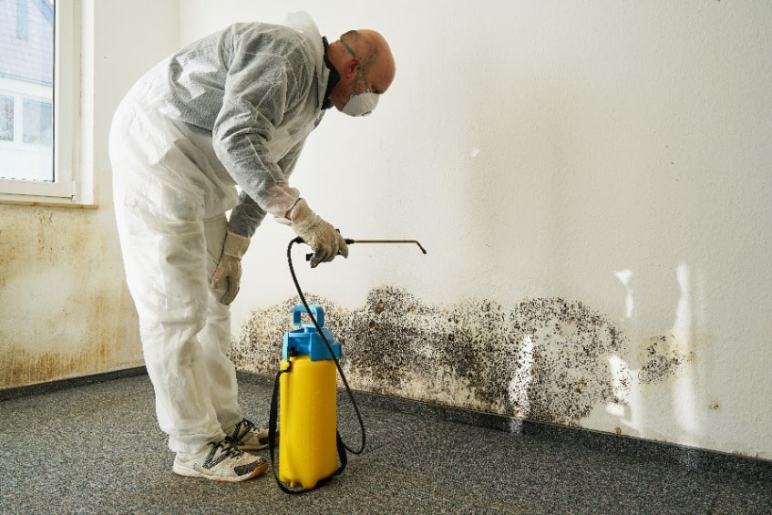 Quels sont les dangers de la présence de moisissures dans une maison ?